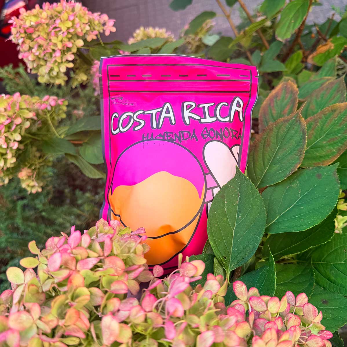 Kostaryka Hacienda Sonora 250g